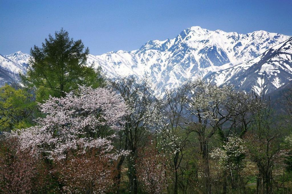 Country Inn Kashiwabara Hakuba Luaran gambar